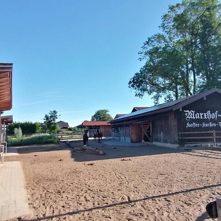 Tiny X Im Marxhof Seebruck Am Chiemsee ซีออน-ซีบรูค ภายนอก รูปภาพ
