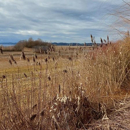 Tiny X Im Marxhof Seebruck Am Chiemsee ซีออน-ซีบรูค ภายนอก รูปภาพ