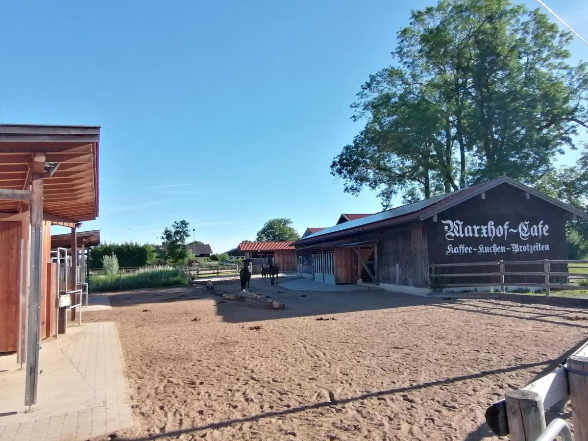 Tiny X Im Marxhof Seebruck Am Chiemsee ซีออน-ซีบรูค ภายนอก รูปภาพ