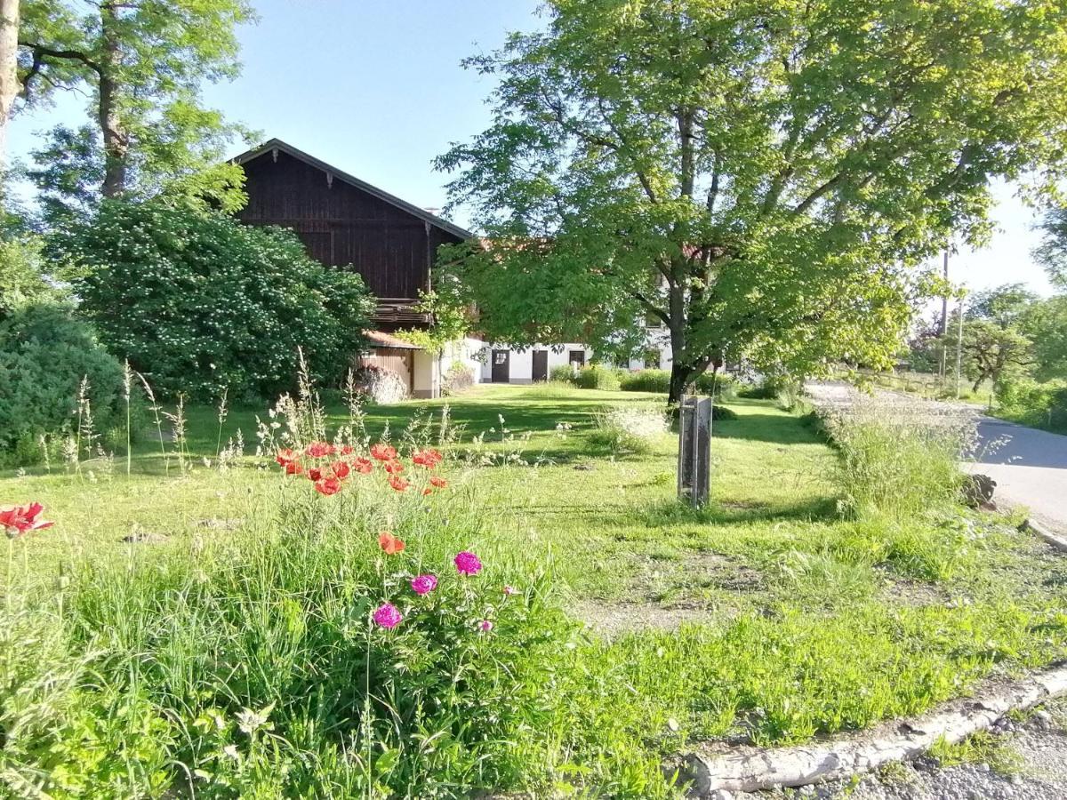 Tiny X Im Marxhof Seebruck Am Chiemsee ซีออน-ซีบรูค ภายนอก รูปภาพ