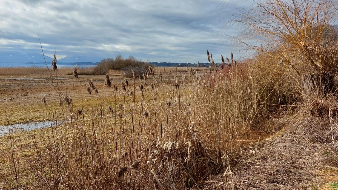Tiny X Im Marxhof Seebruck Am Chiemsee ซีออน-ซีบรูค ภายนอก รูปภาพ